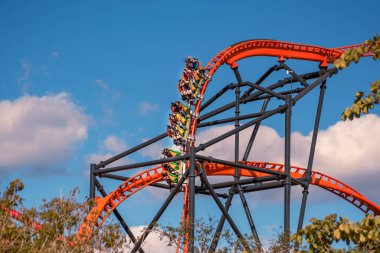 Tampa Körfezi, Florida. 29 Aralık 2020. Busch Gardens 'ta eğlenen insanlar (65))