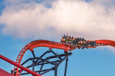 Tampa Körfezi, Florida. 29 Aralık 2020. Busch Gardens 'ta eğlenen insanlar (68))