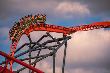 Tampa Körfezi, Florida. 29 Aralık 2020. Busch Gardens 'ta eğlenen insanlar (71))