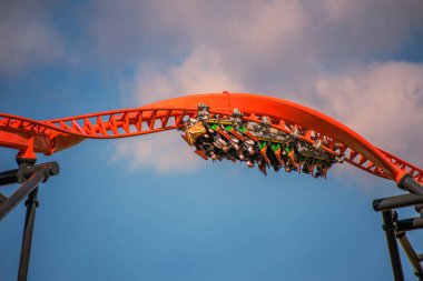 Tampa Körfezi, Florida. 29 Aralık 2020. Busch Gardens 'ta eğlenen insanlar (75)