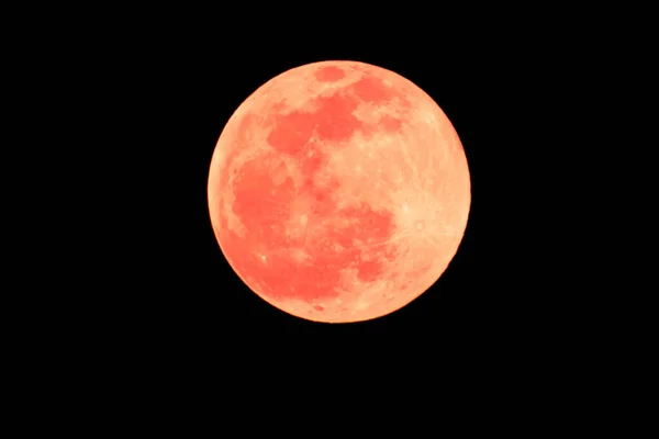 Orlando Florida Big Reed Moon Noite Escura — Fotografia de Stock