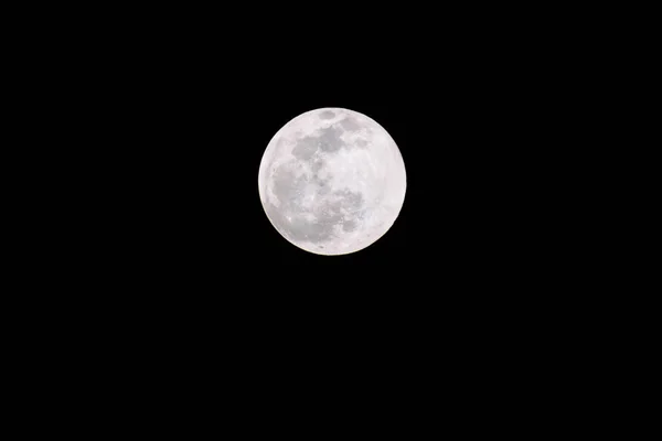 Orlando Florida Luna Clásica Noche Oscura — Foto de Stock