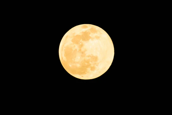 Orlando Florida Bulan Kuning Besar Pada Malam Yang Gelap — Stok Foto