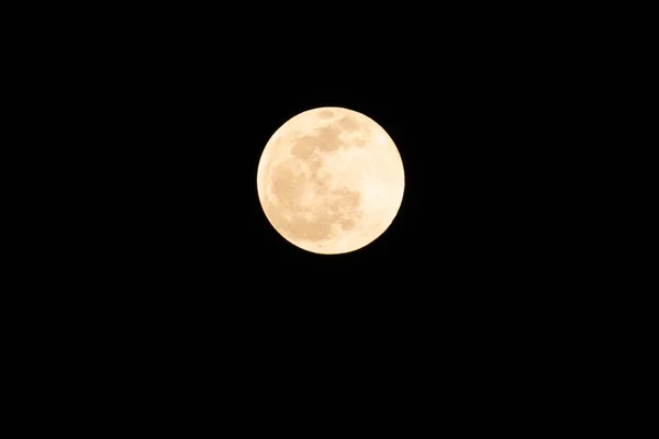 Orlando Florida Luna Amarilla Noche Oscura — Foto de Stock