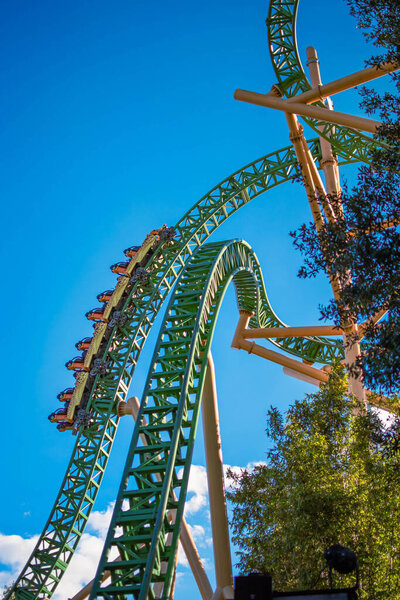 Тампа-Бэй, Флорида. 29 декабря 2020 года. Люди, наслаждающиеся жареными гепардами в саду (4))