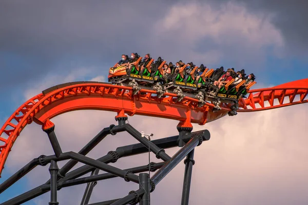 Tampa Bay Florida Prosince2020 Lidé Baví Tigris Horská Dráha Busch — Stock fotografie