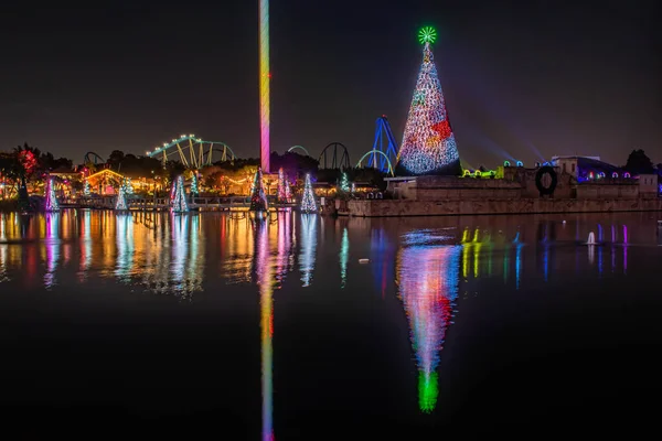 Orlando Florida Novembre 2020 Vista Panoramica Alberi Natale Colorati Illuminati — Foto Stock