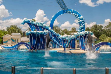 Orlando, Florida 17 Haziran 2020. Yunus Atlayışı Seaworld 'de Yunus Günleri Gösterisi (208)