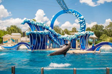 Orlando, Florida 17 Haziran 2020. Yunus Atlayışı Seaworld 'de Yunus Günleri Gösterisi (207)