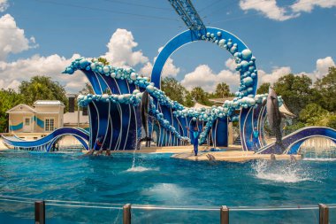 Orlando, Florida 17 Haziran 2020. Yunus Atlayışı Seaworld 'de Yunus Günleri Gösterisi (209).