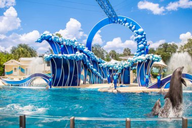 Orlando, Florida 17 Haziran 2020. Yunuslar Seaworld 'de Yunus Günleri Gösterisinde Zıplıyor (5)