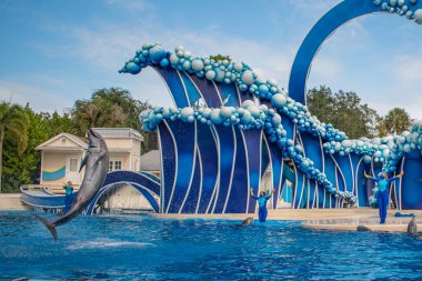 Orlando, Florida. 20 Kasım 2020. Yunus Atlayışı: Yunus Günleri Gösterisi: Seaworld (41) .j