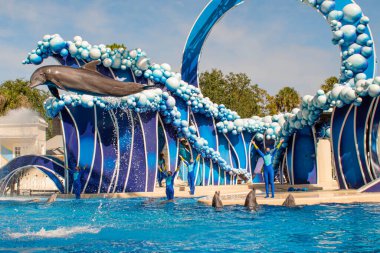 Orlando, Florida. 20 Kasım 2020. Yunus Atlayışı Seaworld 'de Yunus Günleri Gösterisi (53).