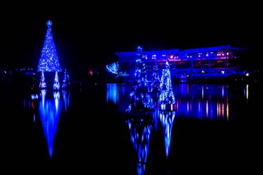 Orlando, Florida. 20 Kasım 2020. Seworld 'deki gölde yansıyan Noel ağaçları (25)