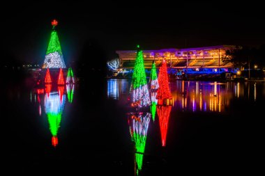 Orlando, Florida. 20 Kasım 2020. Seworld 'deki gölde yansıyan Noel ağaçları (32)