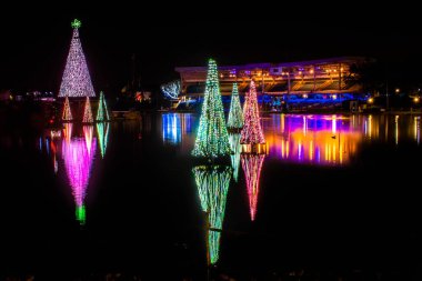 Orlando, Florida. 20 Kasım 2020. Seworld 'deki gölde yansıyan Noel ağaçları (29)