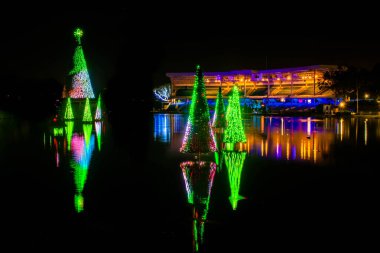 Orlando, Florida. 20 Kasım 2020. Seworld 'deki gölde yansıyan Noel ağaçları (31))