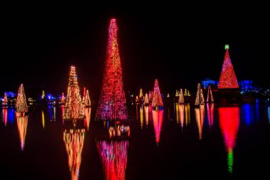 Orlando, Florida. 20 Kasım 2020. Seworld 'deki gölde yansıyan Noel ağaçları (37))