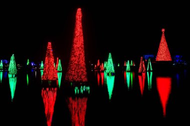 Orlando, Florida. 20 Kasım 2020. Seworld 'deki gölde yansıyan Noel ağaçları (38))