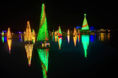 Orlando, Florida. 20 Kasım 2020. Seworld 'deki gölde yansıyan Noel ağaçları (35))