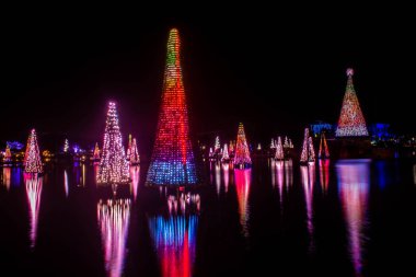 Orlando, Florida. 20 Kasım 2020. Seworld 'deki gölde yansıyan Noel ağaçları (36).