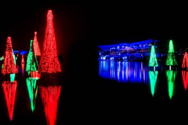 Orlando, Florida. 20 Kasım 2020. Seworld 'deki gölde yansıyan Noel ağaçları (41))