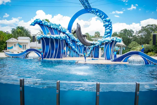 Orlando Florida Junio 2020 Dolphin Saltando Dolphin Days Show Seaworld — Foto de Stock