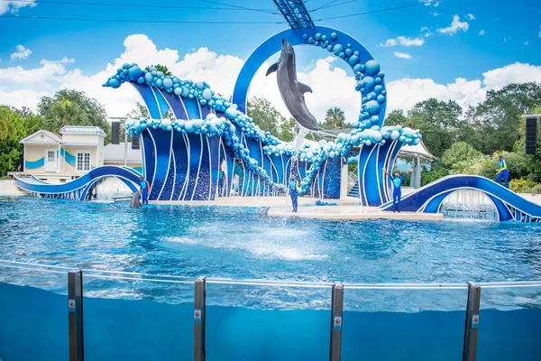 Orlando Florida Junio 2020 Dolphin Saltando Dolphin Days Show Seaworld — Foto de Stock