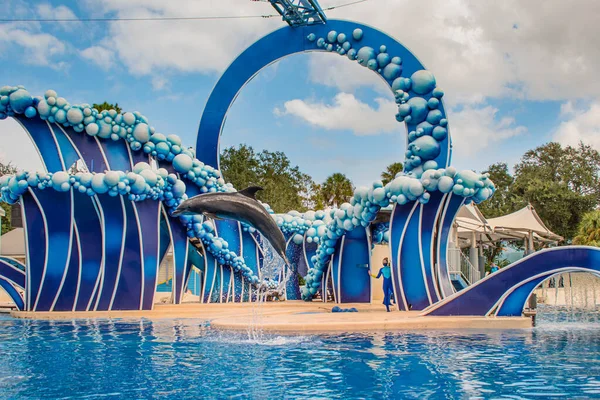 Orlando Florida Noviembre 2020 Dolphin Saltando Dolphin Days Show Seaworld — Foto de Stock
