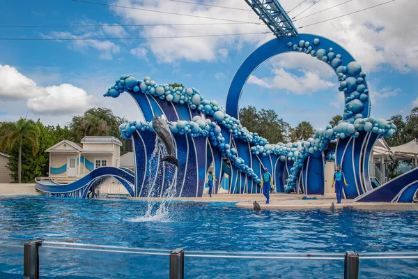 Orlando Florida Noviembre 2020 Dolphin Saltando Dolphin Days Show Seaworld — Foto de Stock