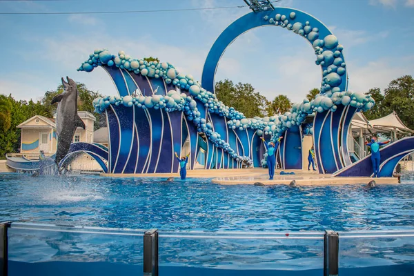 Orlando Florida Noviembre 2020 Dolphin Saltando Dolphin Days Show Seaworld —  Fotos de Stock