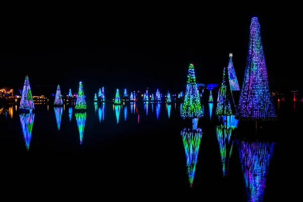 Orlando, Florida. 20 Kasım 2020. Seworld 'deki gölde yansıyan Noel ağaçları (21)