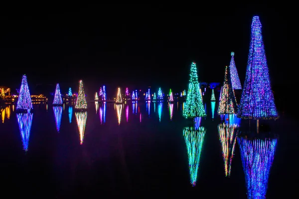 Orlando, Florida. 20 Kasım 2020. Seworld gölünde yansıyan Noel ağaçları (22))