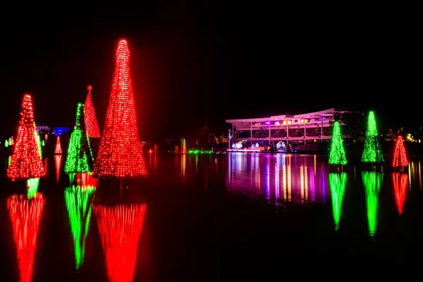 Orlando Florida November 2020 Julgranar Reflekterar Sjön Vid Seworld — Stockfoto