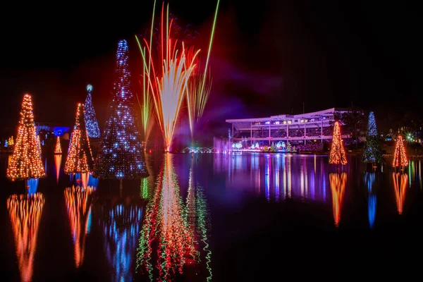 Orlando Florida November 2020 Christmas Trees Reflecting Lake Seworld — Stock Photo, Image