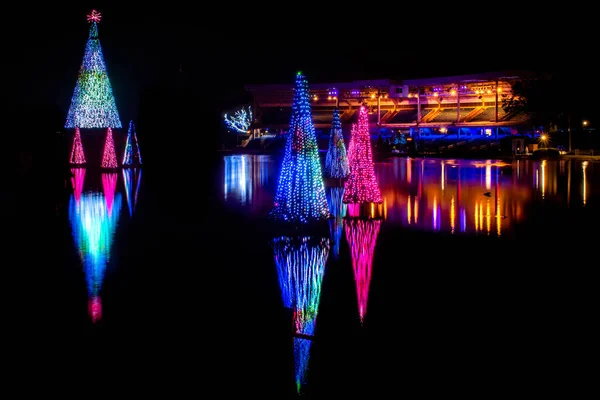 Orlando, Florida. 20 Kasım 2020. Seworld 'deki gölde yansıyan Noel ağaçları (27)