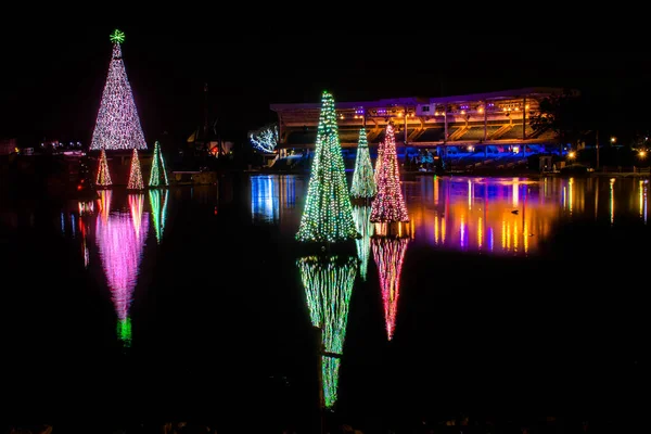 Orlando, Florida. 20 Kasım 2020. Seworld 'deki gölde yansıyan Noel ağaçları (28)