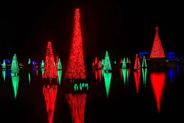 Orlando Floride Novembre 2020 Arbres Noël Reflétant Dans Lac Seworld — Photo
