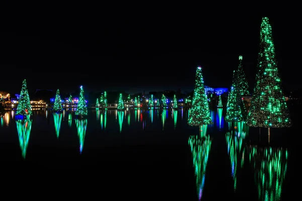 Orlando Florida November 2020 Weihnachtsbäume Spiegeln Sich See Bei Seworld — Stockfoto
