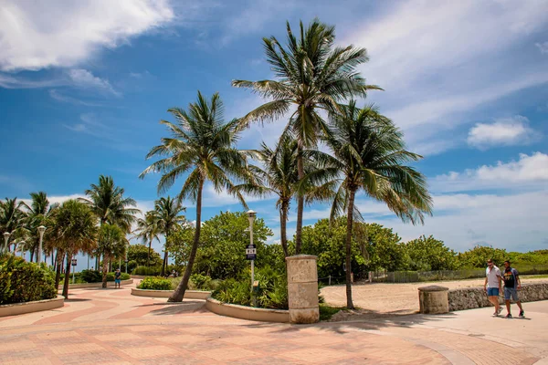 Miami Beach Florida Junho 2021 Lummus Park Beach Passeio South — Fotografia de Stock