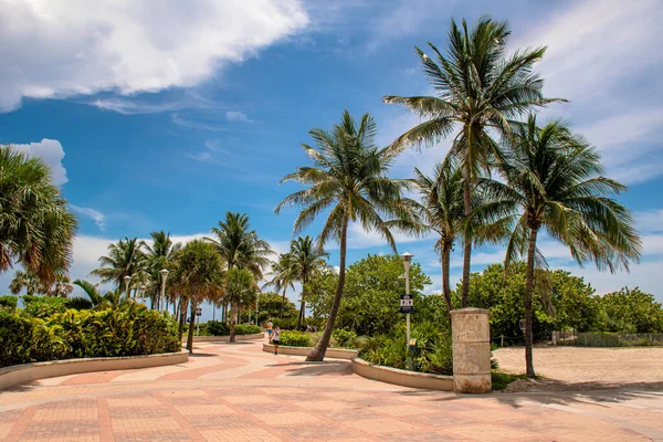 Miami Beach Florida Junho 2021 Lummus Park Beach Passeio South — Fotografia de Stock