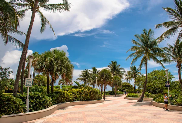 Miami Beach Florida Juni 2021 Lummus Park Beach Wandeling Bij Rechtenvrije Stockfoto's