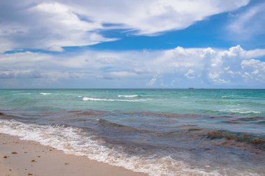 Miami Sahili, Florida. 29 Haziran 2021. Güney Sahili 'nin panoramik manzarası (32)