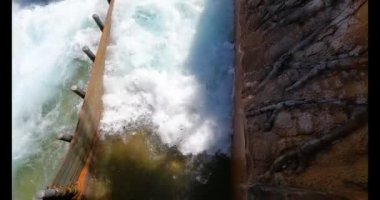 Orlando, Florida, 31 Temmuz 2021. İnsanlar Seaworld 'de suyun tadını çıkarıyorlar (12))