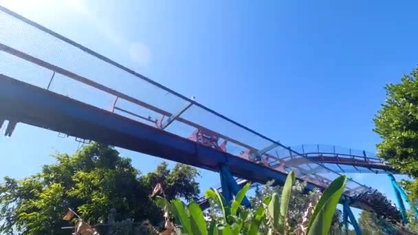 Orlando Florida August 2021 People Enjoying Mako Rolercoaster Seaworld — Stock Video