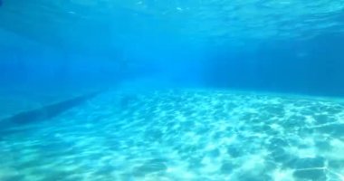 Orlando, Florida. 25 Ağustos 2021. Deniz Dünyası 'ndaki Yunus Koyu' nda suyun altında güzel şişe burunlu yunuslar (2)