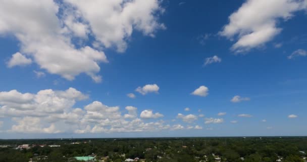 Tampa Floryda Sierpnia 2021 Jeździłem Kolejką Górską Sheikra Busch Gardens — Wideo stockowe