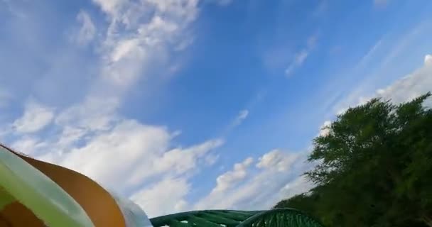 Tampa Florida Srpna2021 Lidé Užívají Horskou Dráhu Busch Gardens Tampa — Stock video