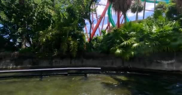 Tampa Florida Agosto 2021 Personas Que Divierten Congo River Rapids — Vídeos de Stock