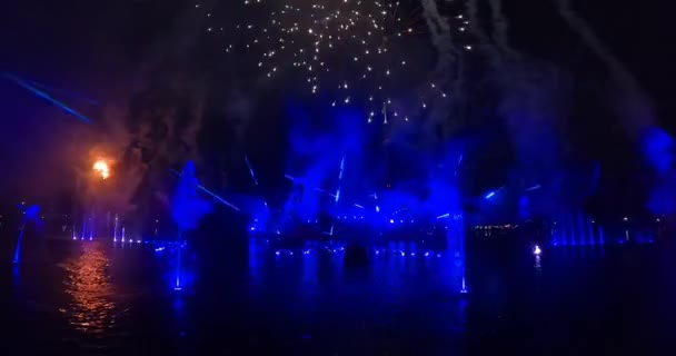 Orlando Florida Augusti 2021 Panoramautsikt Över Ignite Fireworks Show Seaworld — Stockvideo